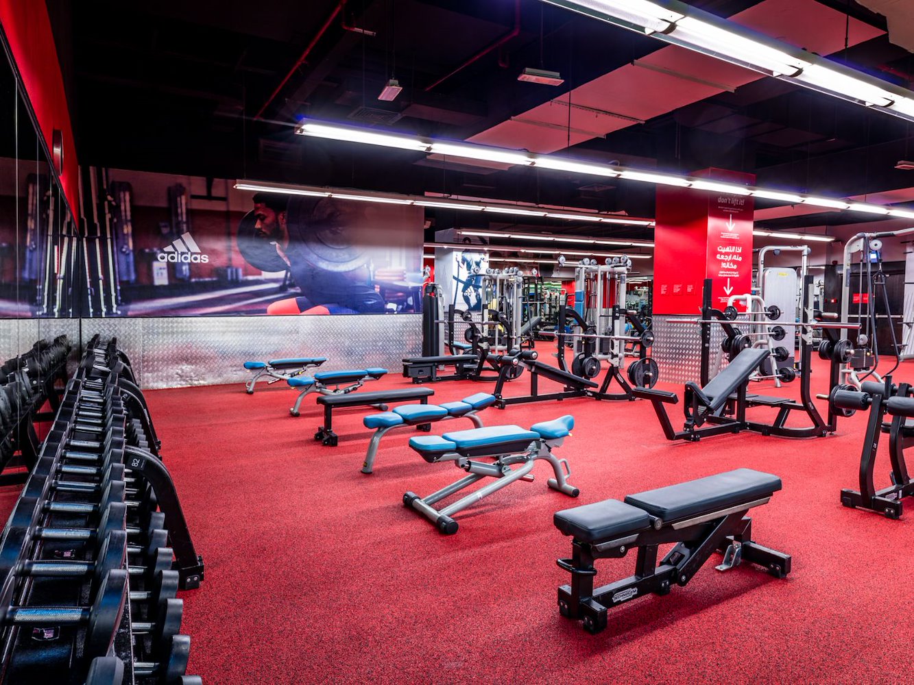 Fitness First Platinum Oasis Center - Mixed and Ladies Only - фото 2