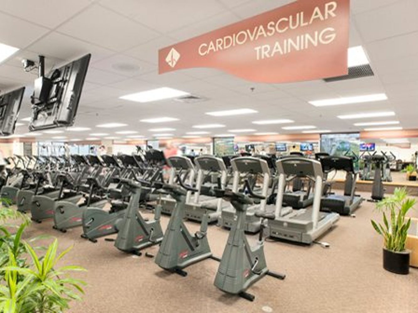 Healthtrax Fitness & Wellness Enfield - фото 4