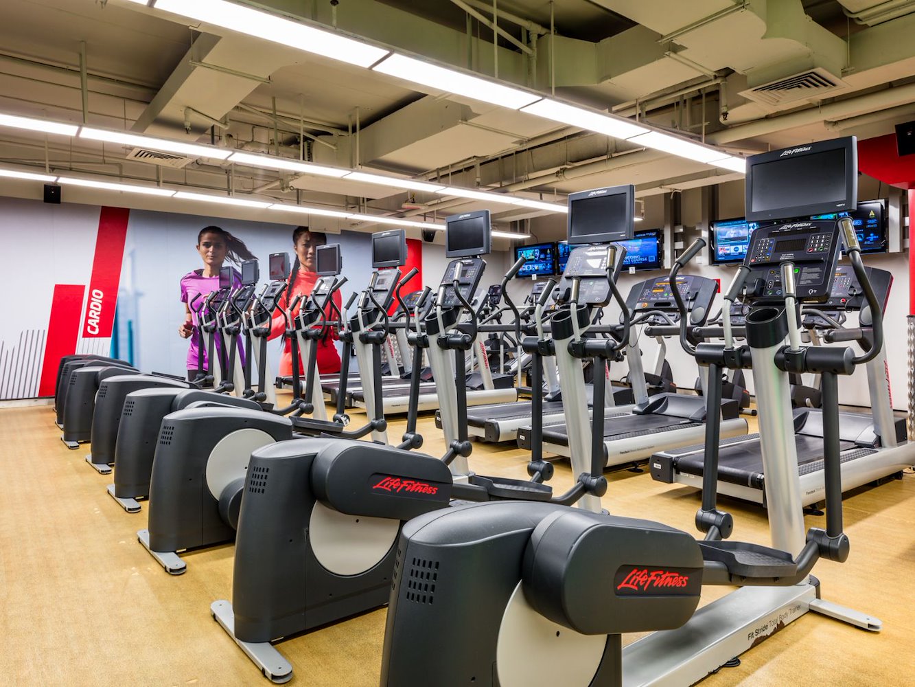 Fitness First Titanium Mudon - Mixed - фото 1