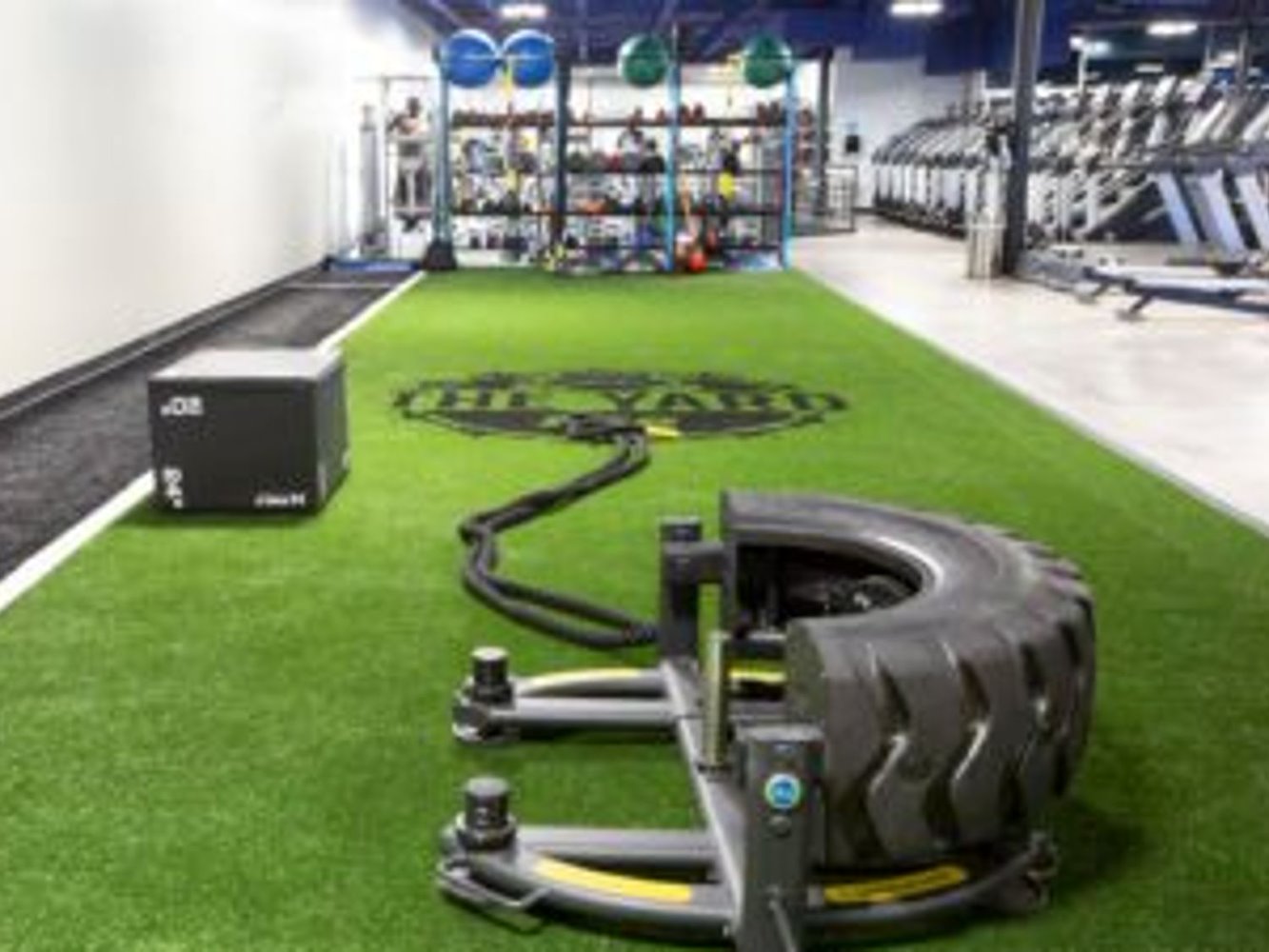 EoS Fitness PHOENIX- CACTUS RD / CAVE CREEK - фото 5