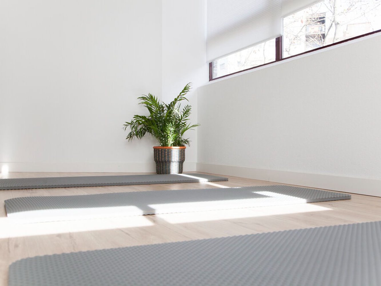 EQ club | Pilates & Wellness (Bellasvistas) - фото 6
