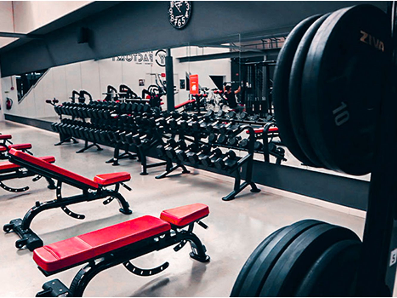 Fitness Factory Leiria - фото 14
