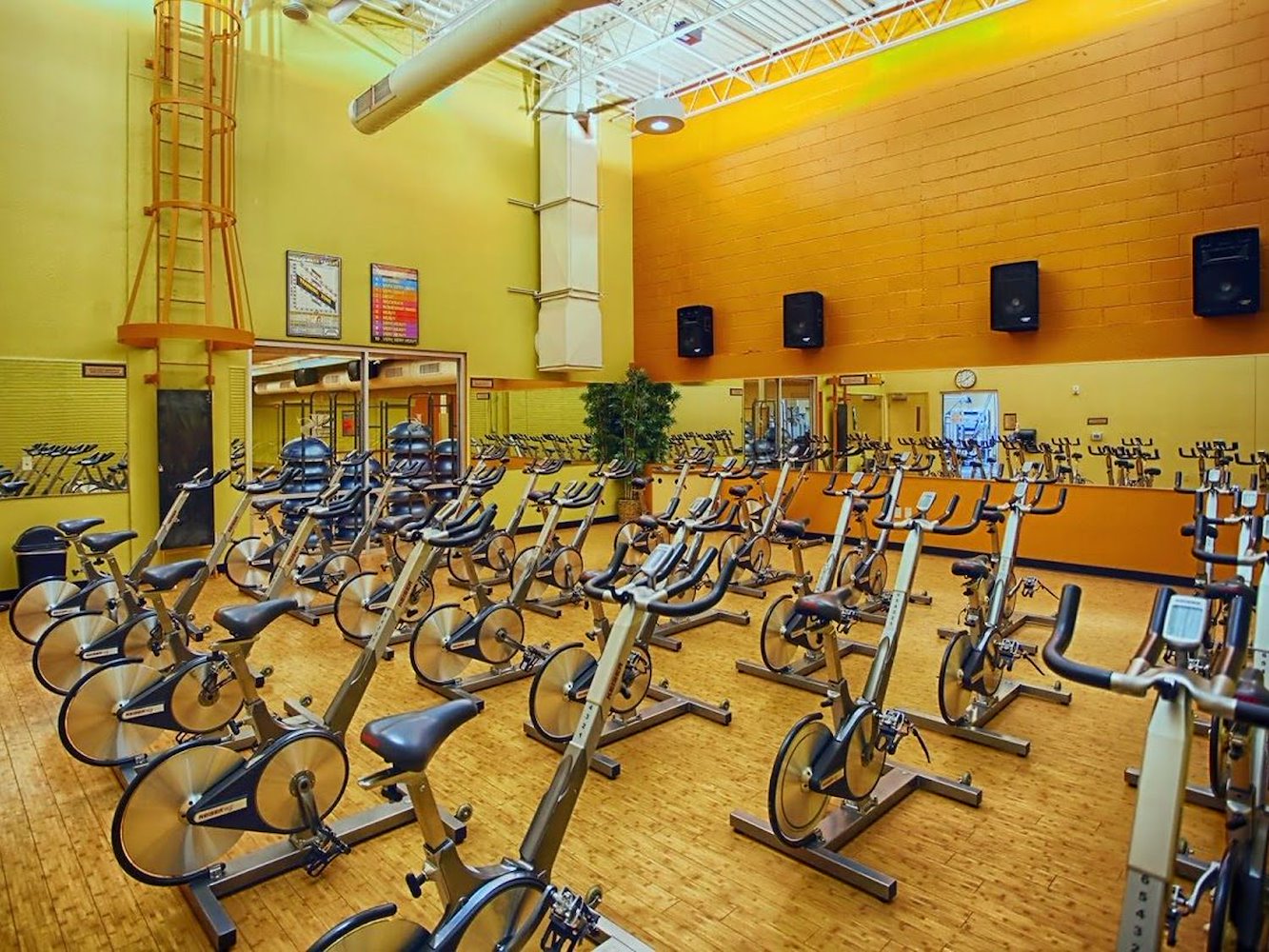 In-Shape: Turlock Monte Vista - фото 2