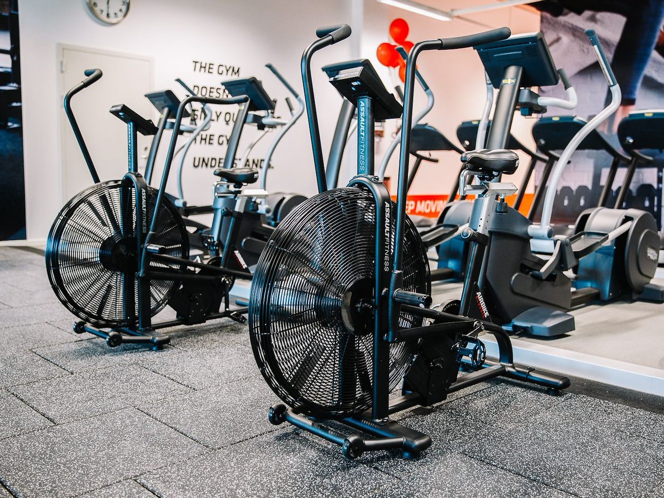 MyFitness Alfa