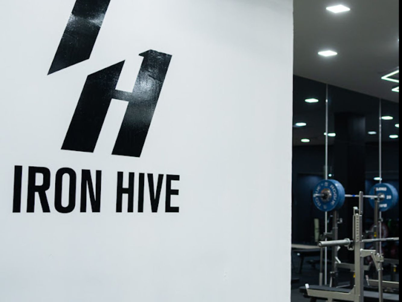 Iron Hive - фото 8
