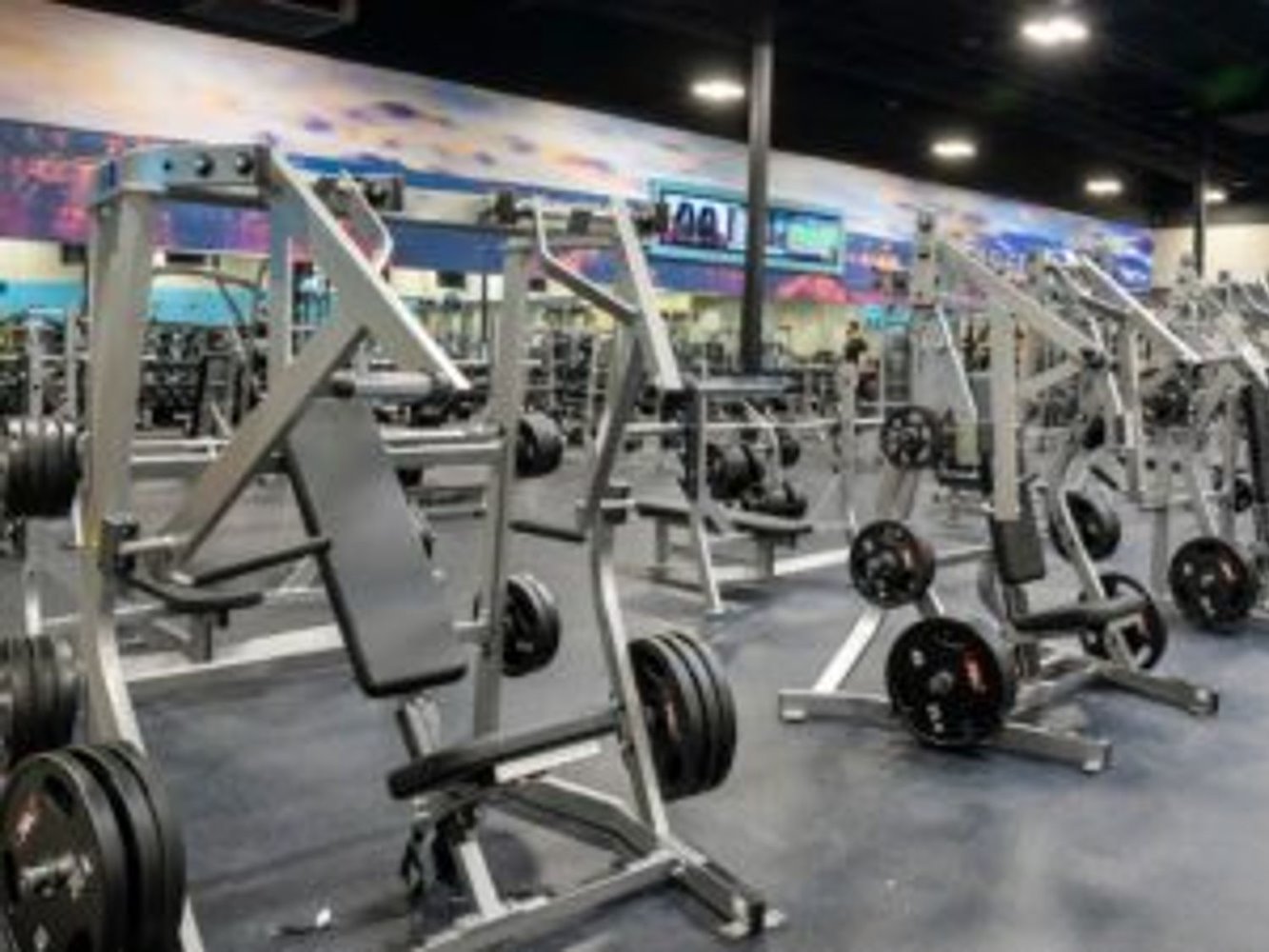 EoS Fitness SARASOTA - TAMIAMI TRAIL - фото 2