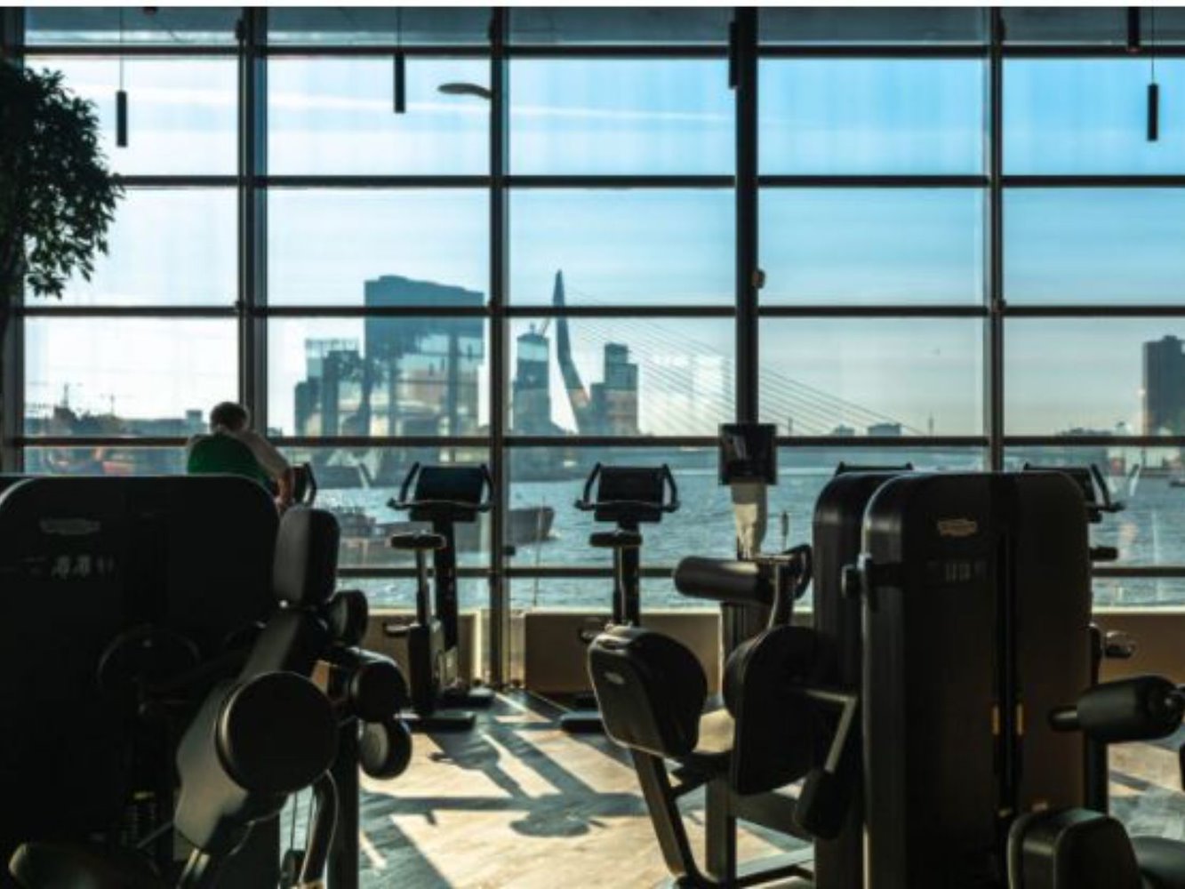 MyLife - Rotterdam on the Maas - фото 2