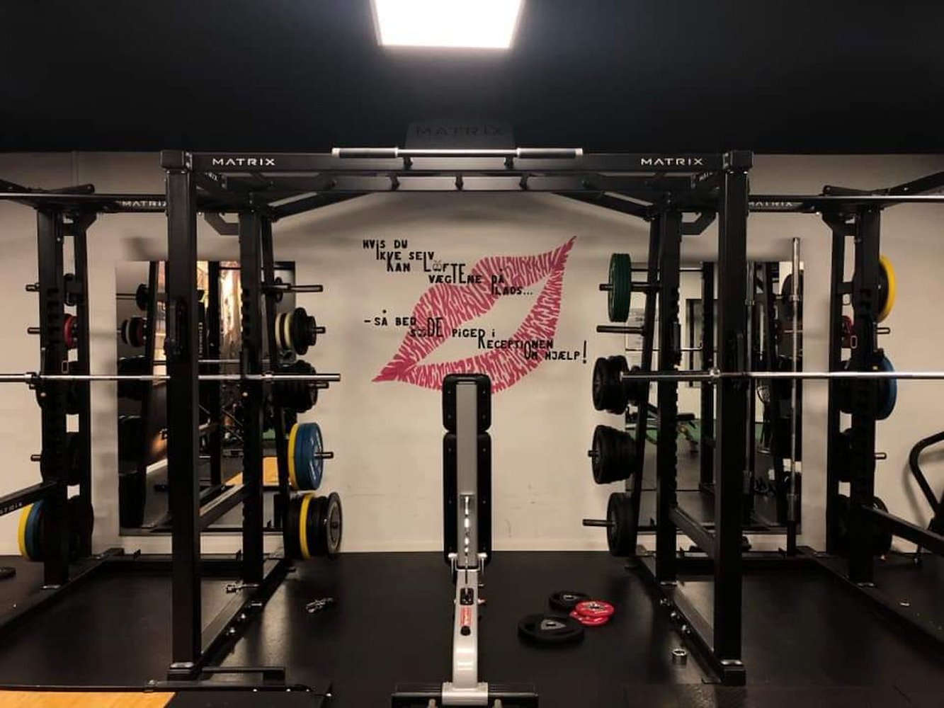 My Gym - фото 3