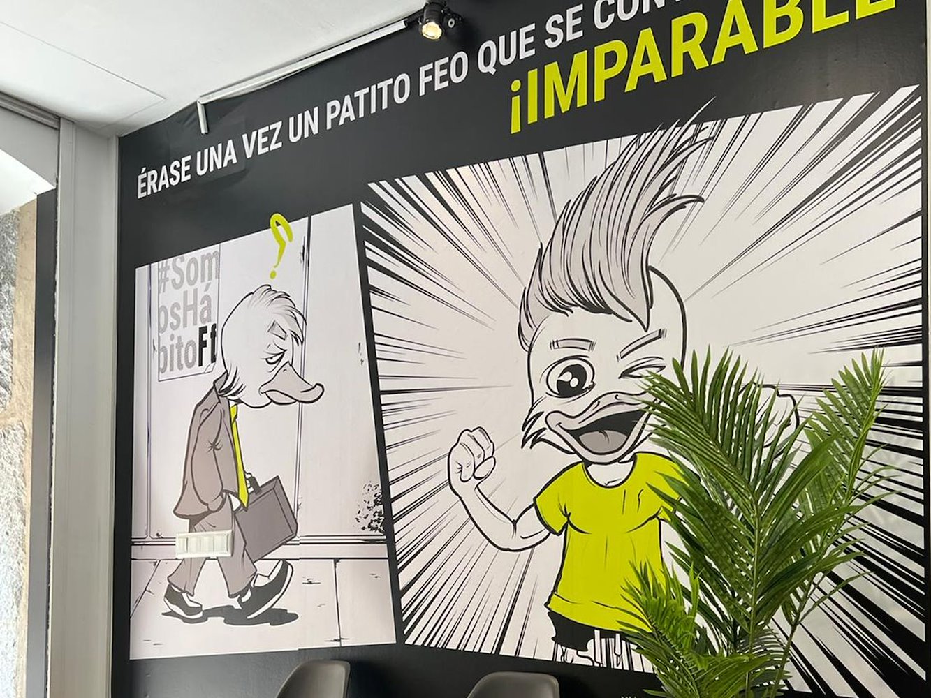 Functional Feel - Chueca - фото 11
