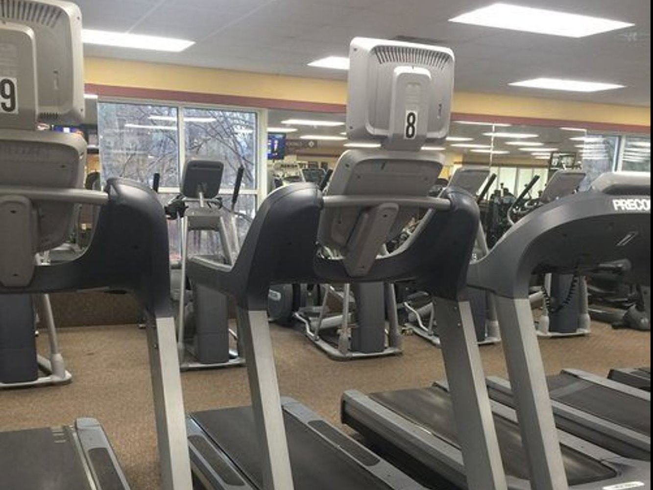 Healthtrax Fitness & Wellness East Longmeadow - фото 2