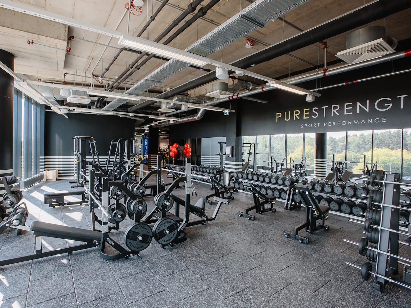 MyFitness Alfa - фото 5
