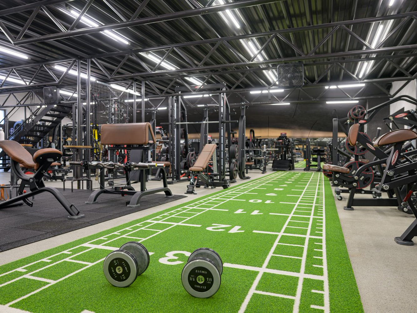 Luxor Fitness - фото 8
