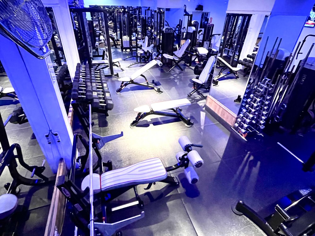 Opera Gym - фото 1