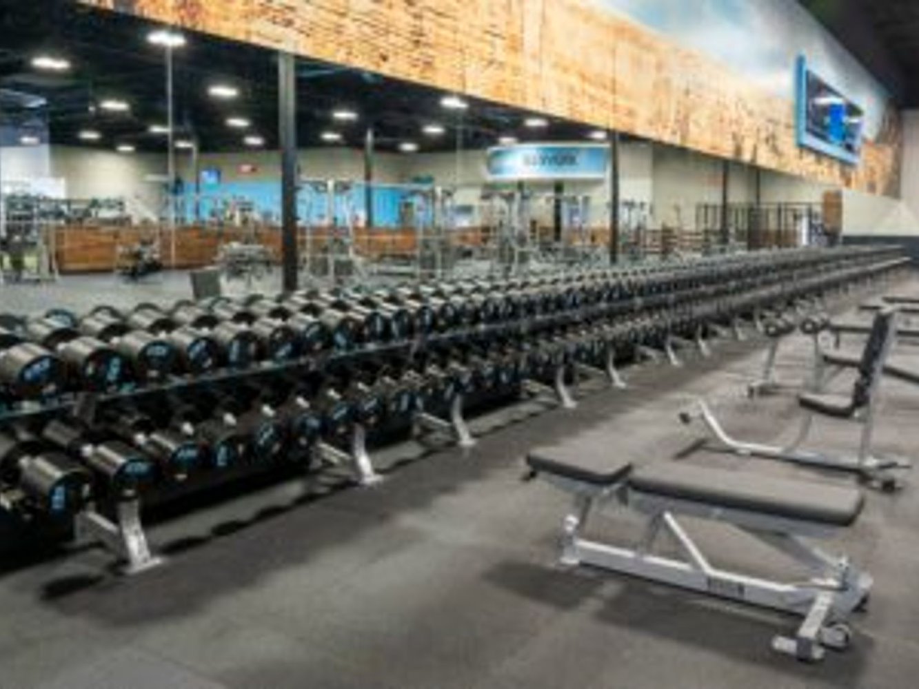 EoS Fitness SURPRISE- BELL RD/303 - фото 1