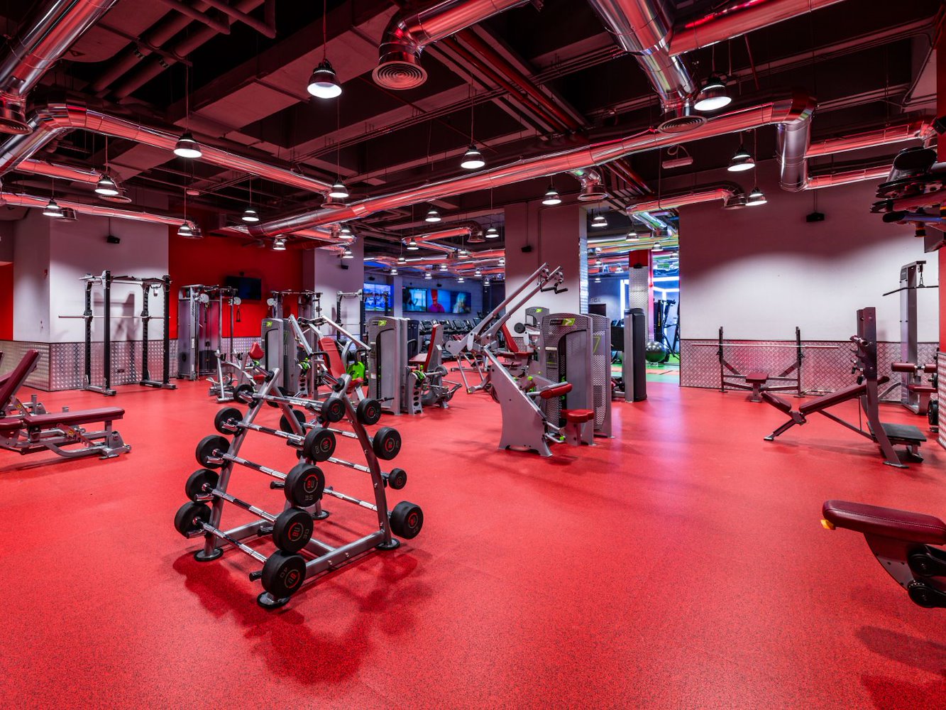 Fitness First Platinum Al Barsha - Mixed and Ladies Only - фото 3