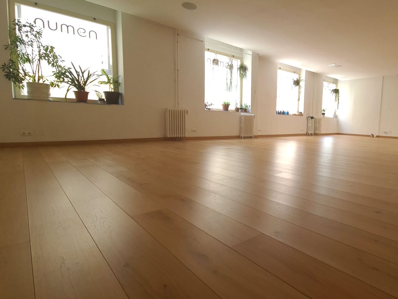 Numen Yoga - фото 4