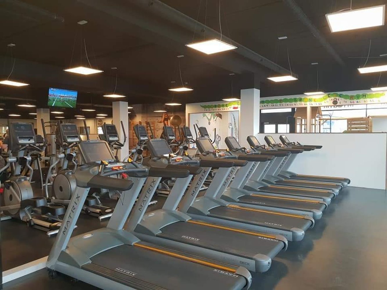 My Gym - фото 5