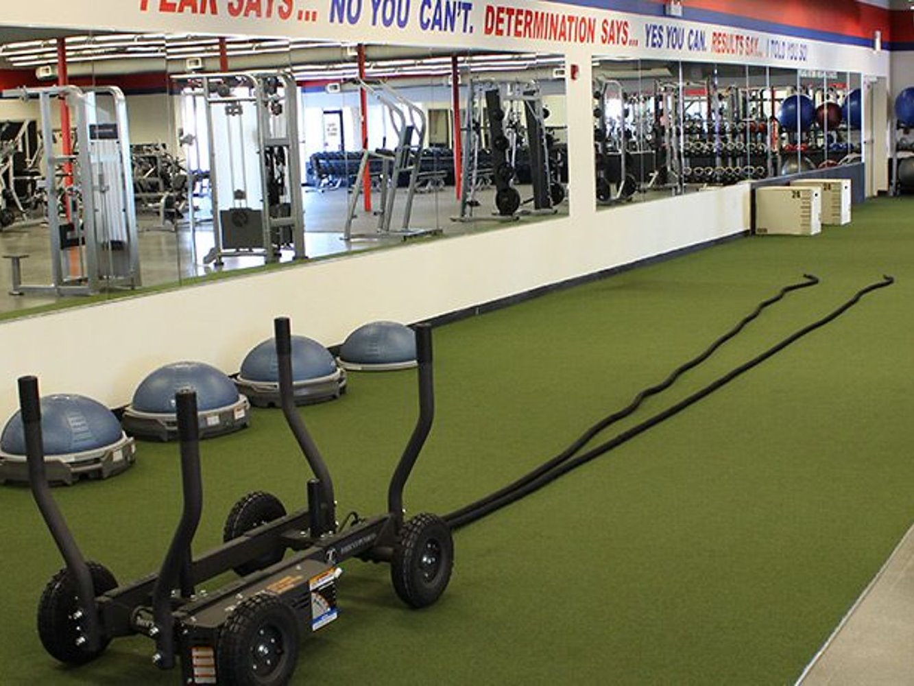 Go M.A.D. Fitness Monroe