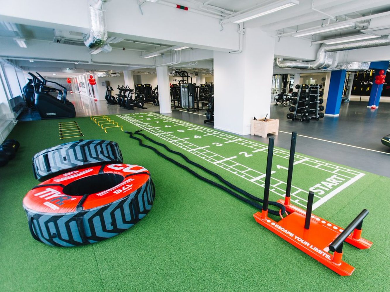 MyFitness Matīss - фото 6