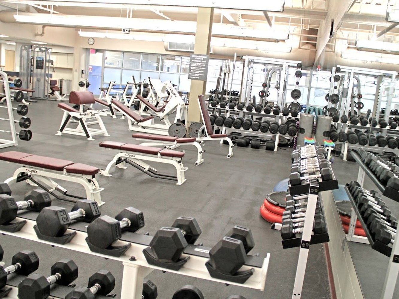 Pro Medica Forever Fit - фото 3