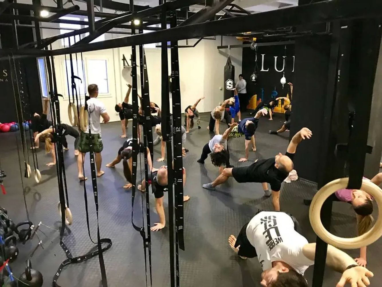 Ludus Training Center - фото 1
