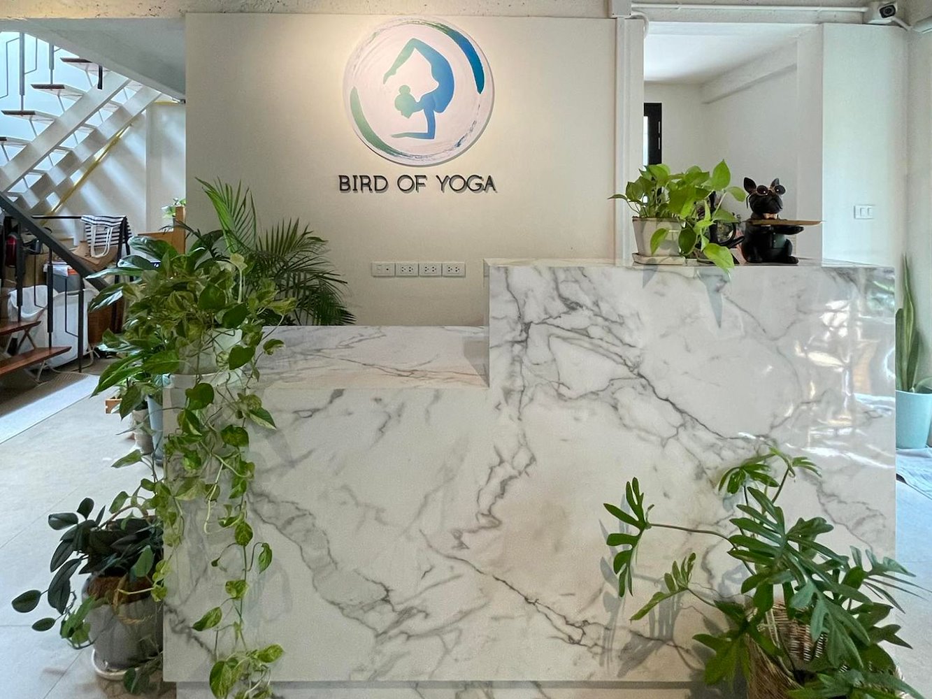 Bird of Yoga - фото 3