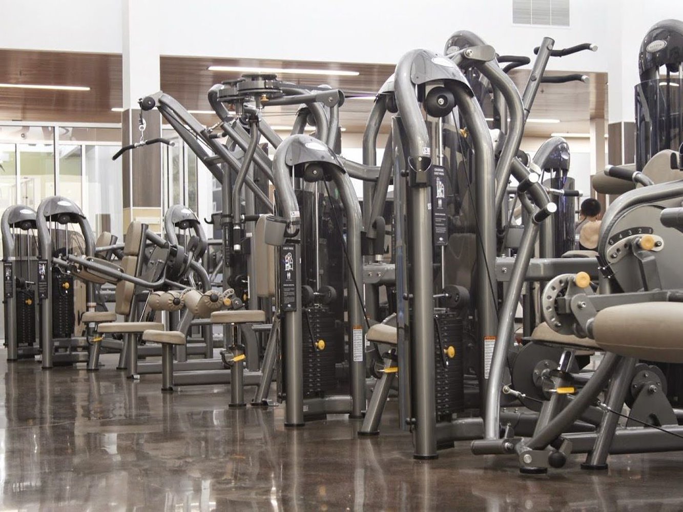 In-Shape: Stockton March Lane