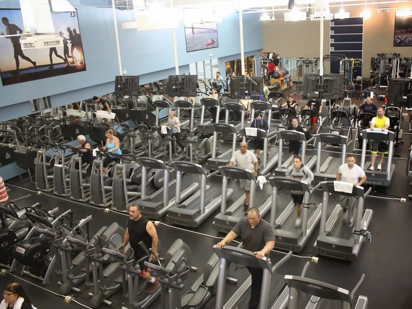 In-Shape: Brentwood - фото 3