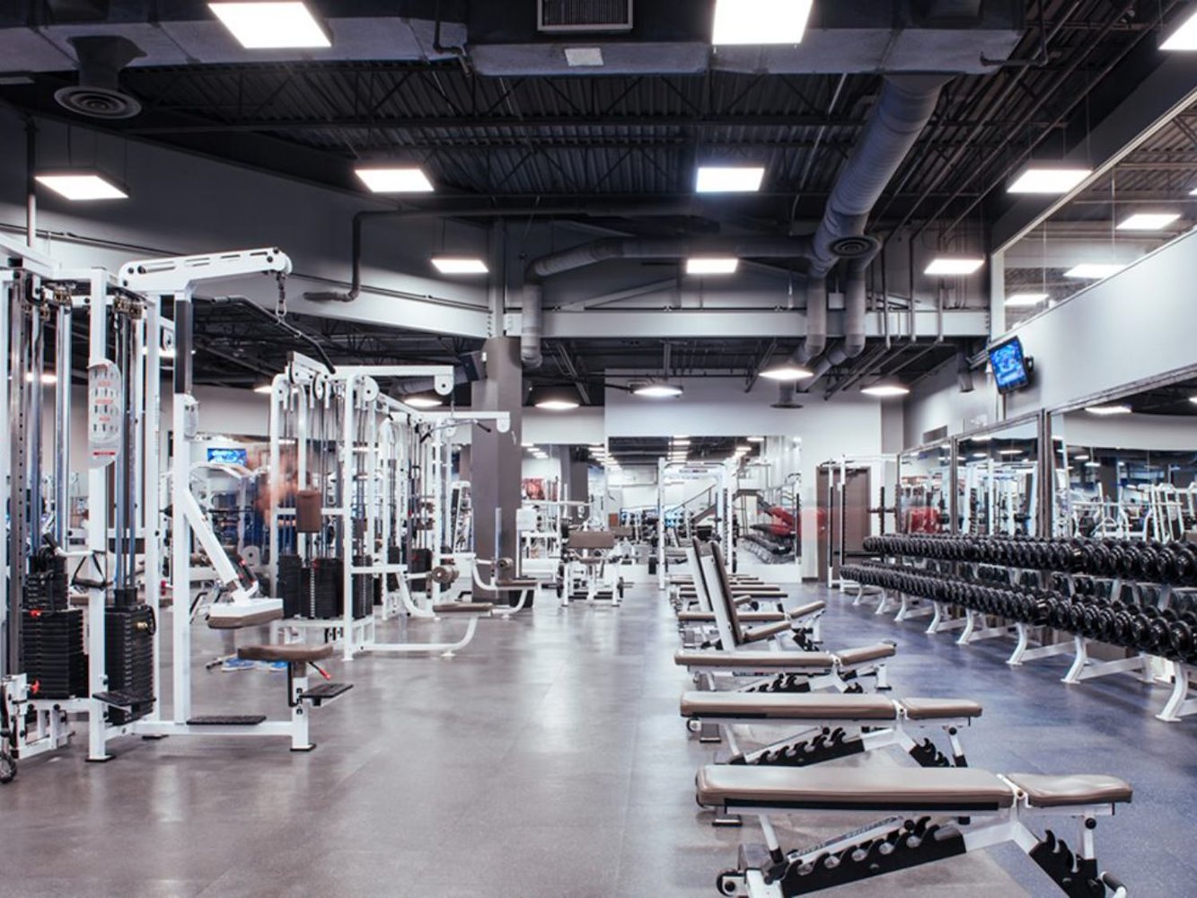 GYMVMT Kensington Edmonton