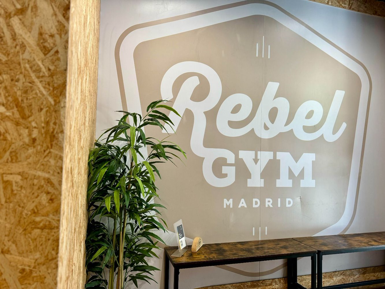 Rebel Gym - фото 1