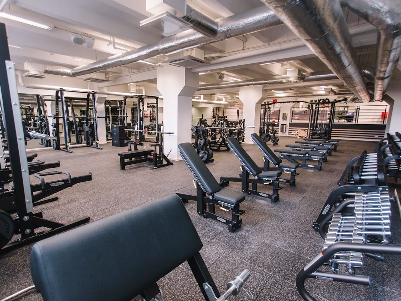 MyFitness Matīss - фото 15