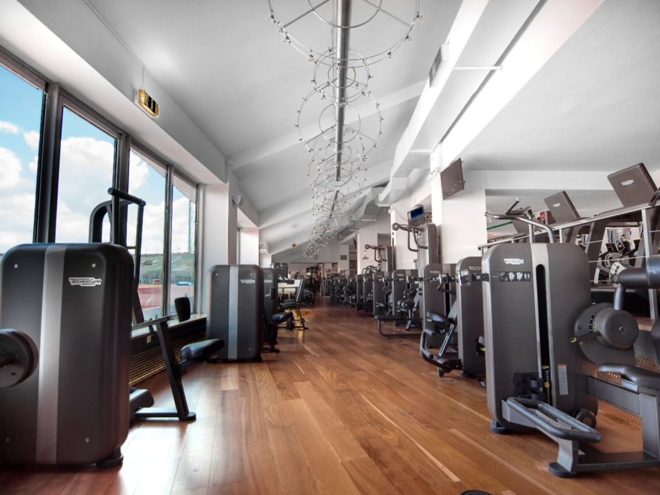 Olympic Gym - фото 3