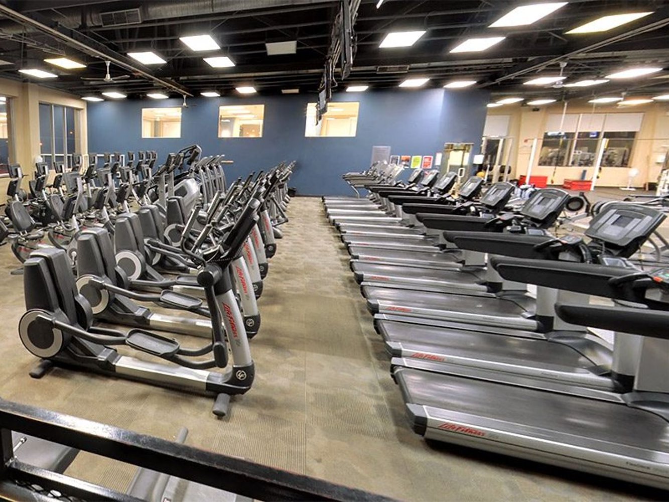 GYMVMT Macleod Calgary