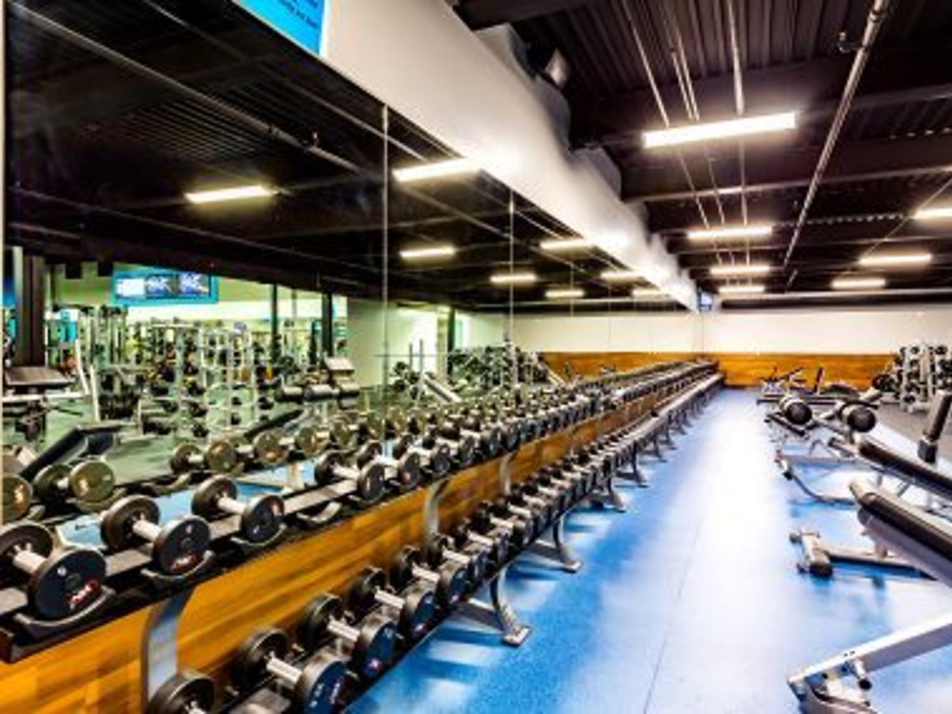 EoS Fitness Cactus Tatum