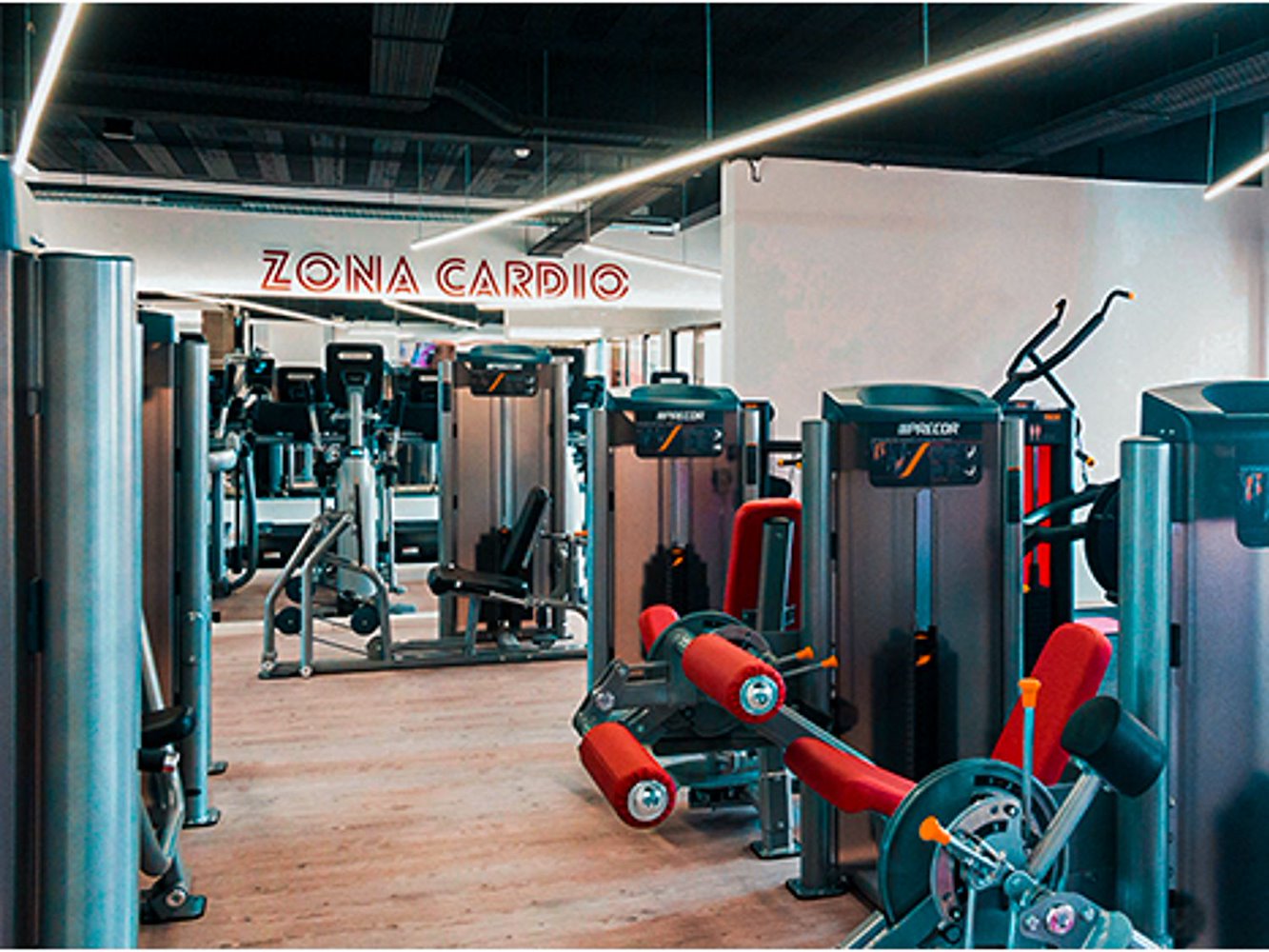 Fitness Factory Funchal - фото 5