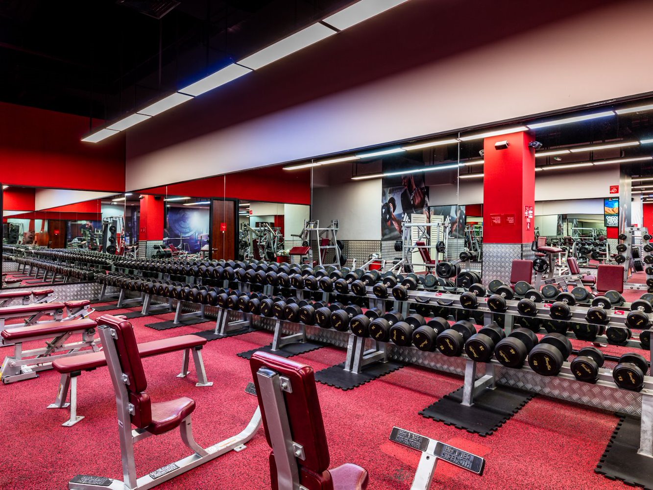 Fitness First Platinum Dalma Mall - Mixed and Ladies Only - фото 2