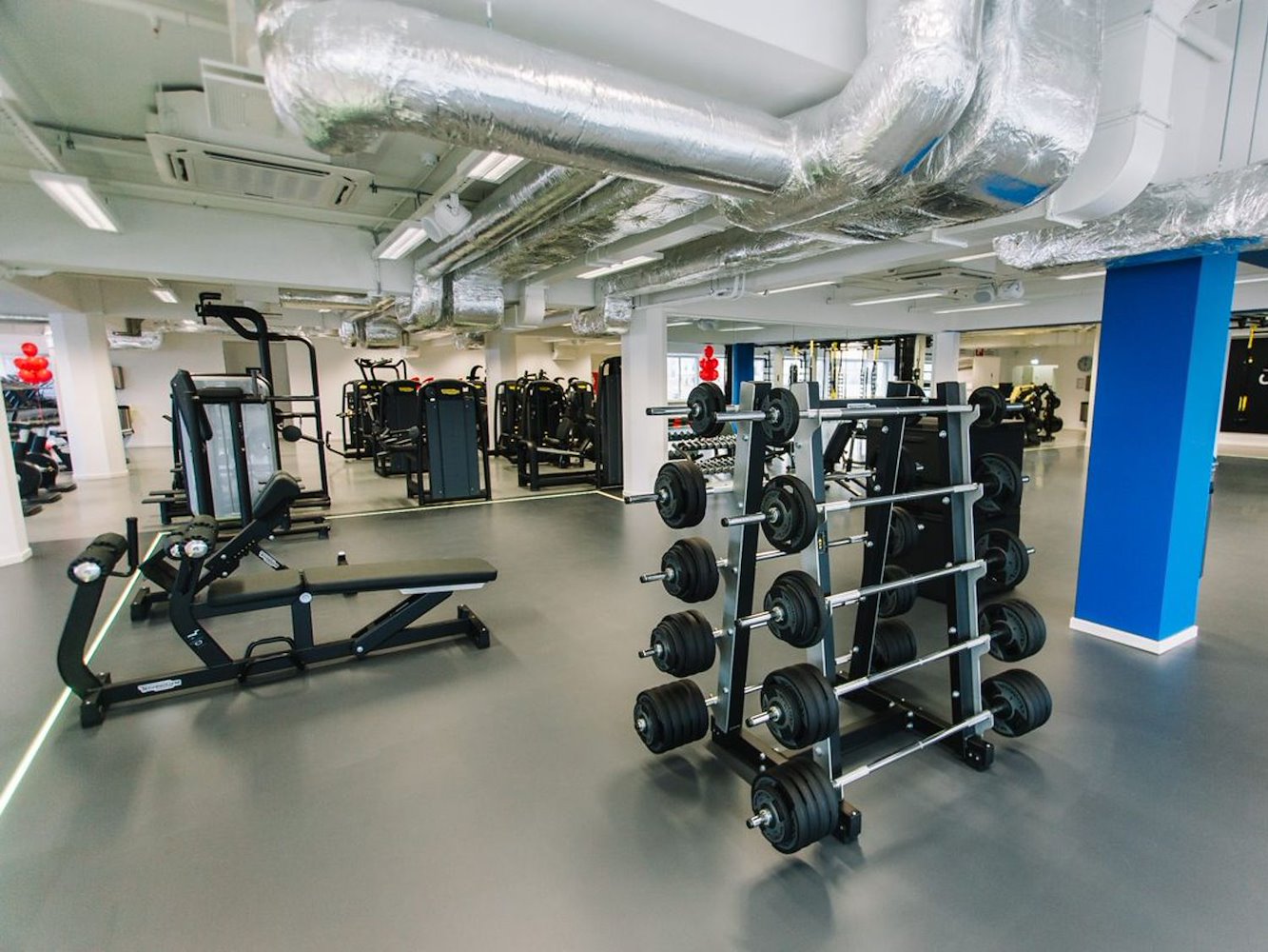 MyFitness Matīss - фото 7