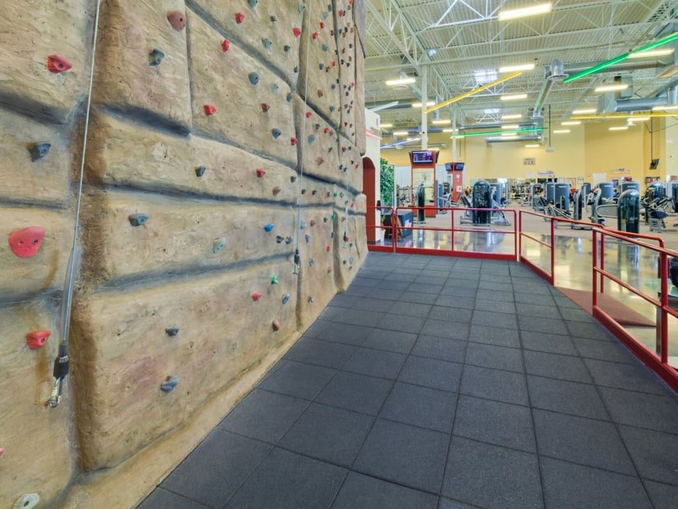 In-Shape Family Fitness - Laguna - фото 5