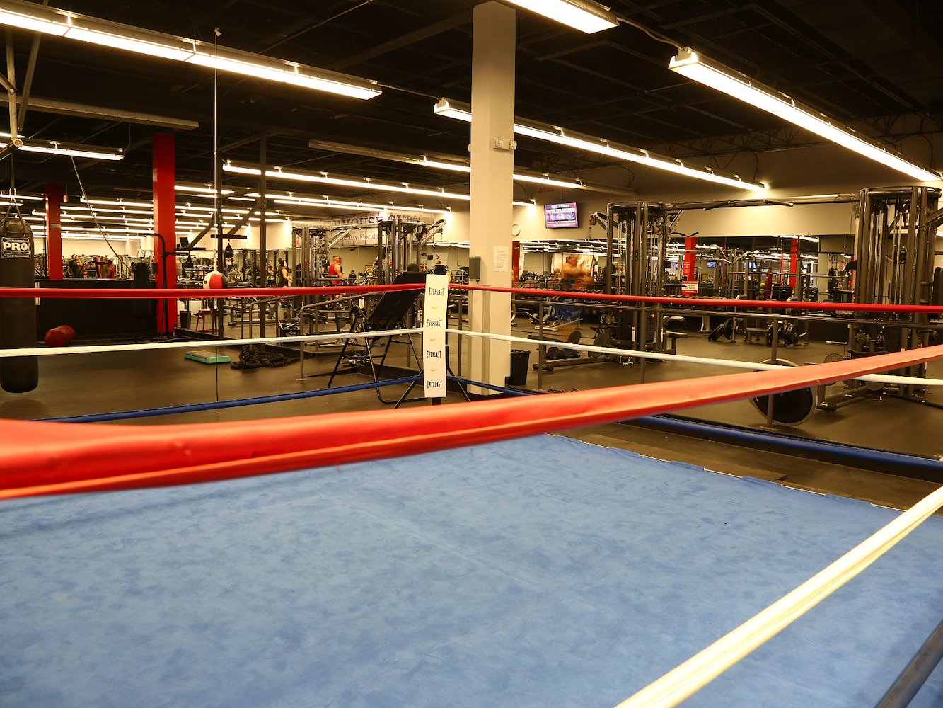 Powerhouse Gym Athletic Club - фото 8