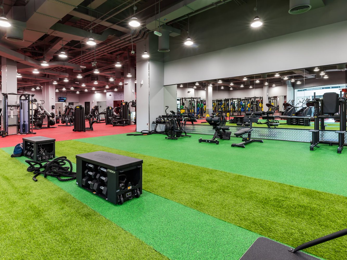 Fitness First Platinum  - Festival City Mixed and Ladies Only - фото 2