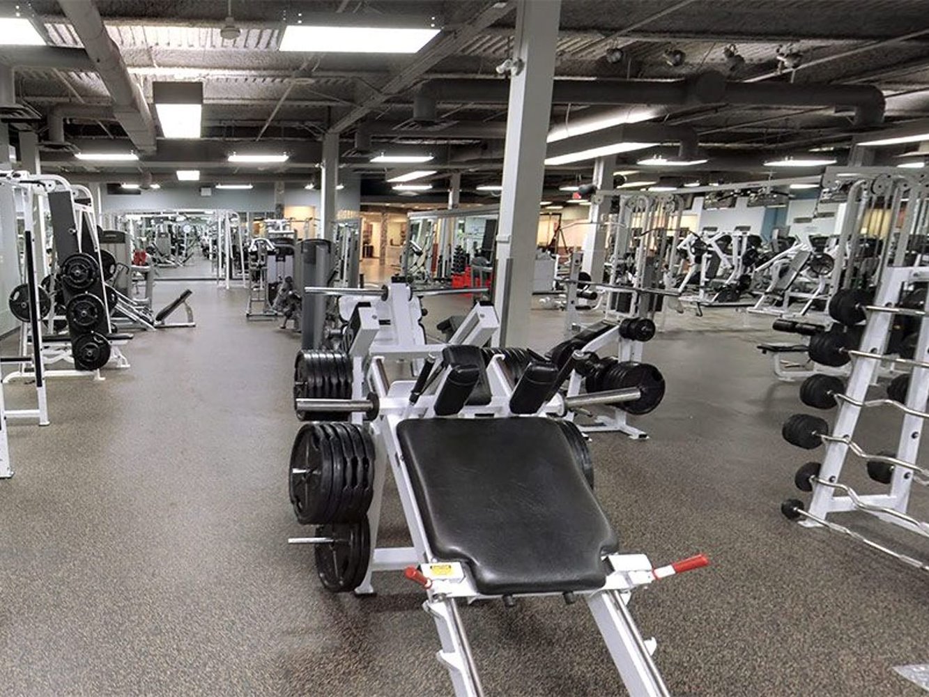 GYMVMT North Hill Calgary