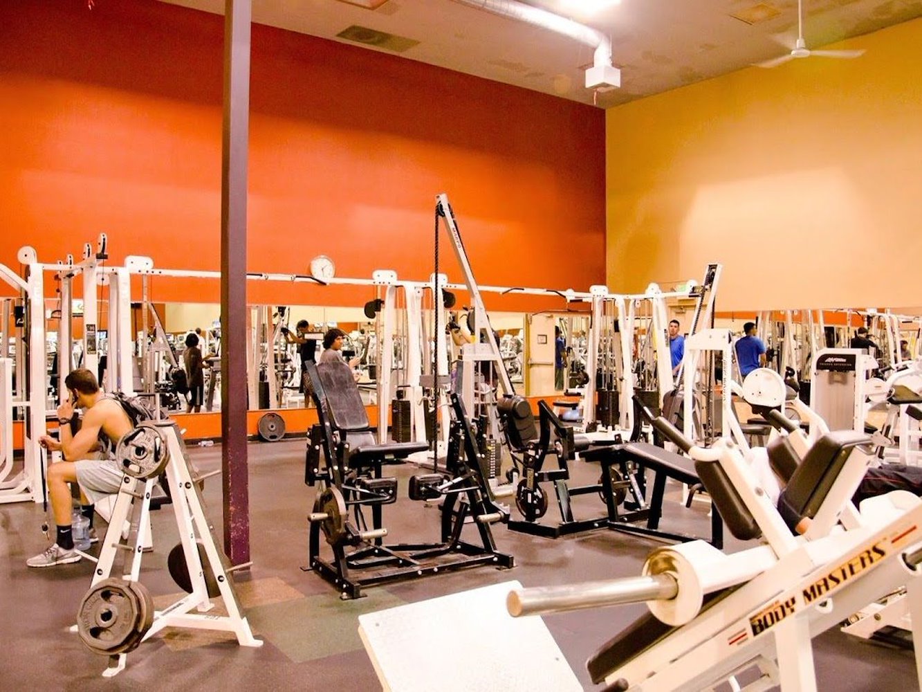 In-Shape: Manteca - фото 2