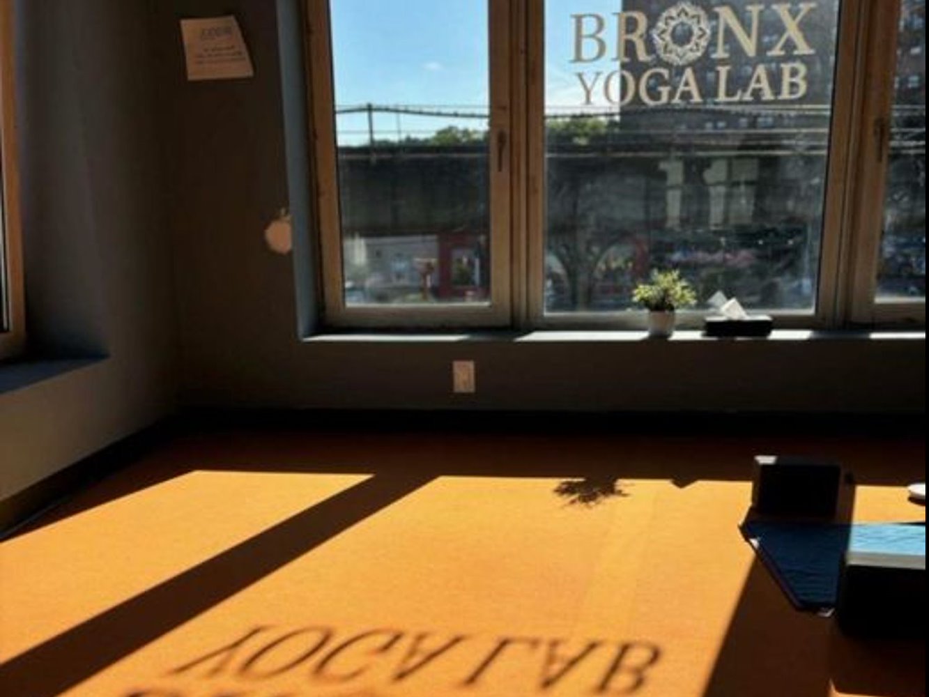 Bronx Yoga Lab - фото 2