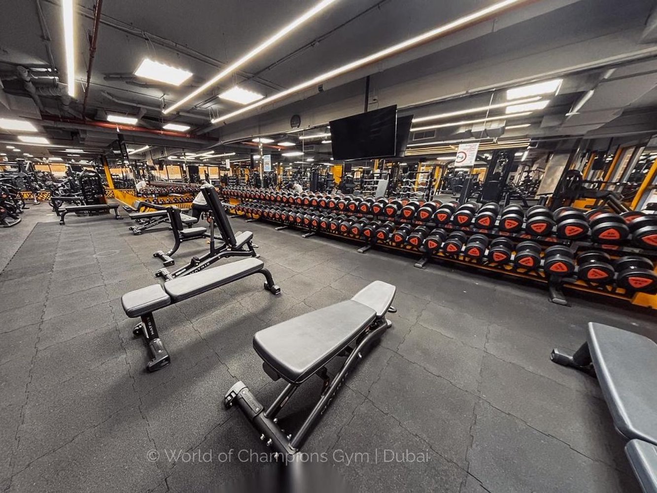 World of Champions Gym - фото 3