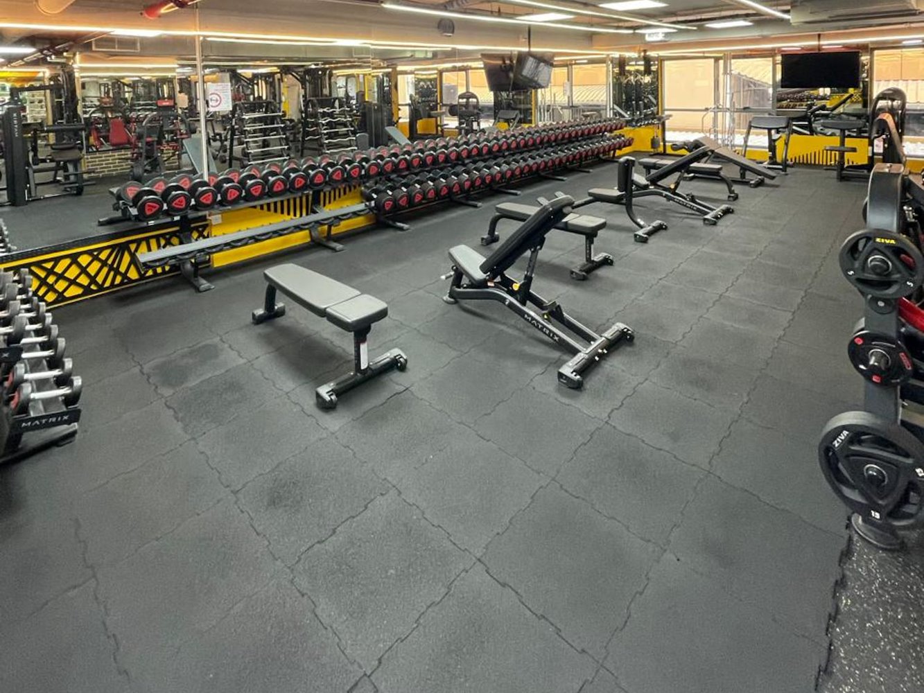 World of Champions Gym - фото 4
