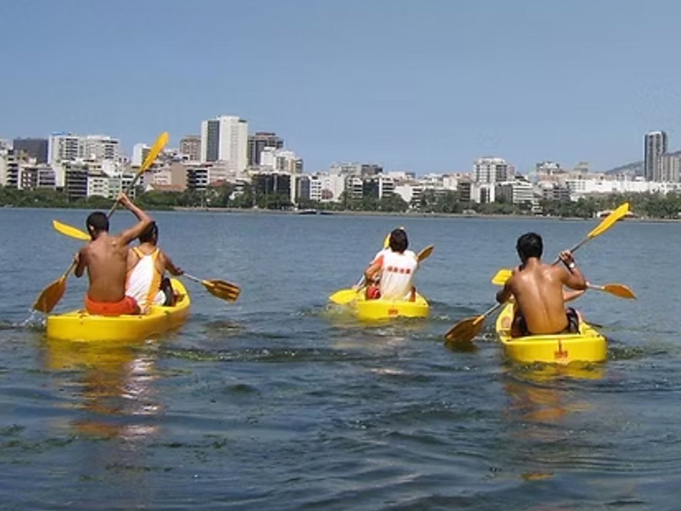 Tribus - Lagoon - фото 1