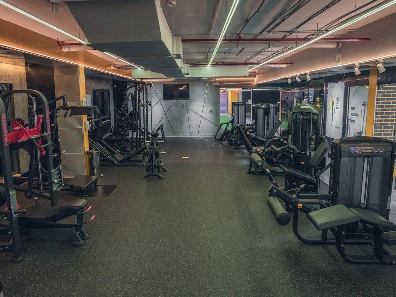 World of Champions Gym - фото 9