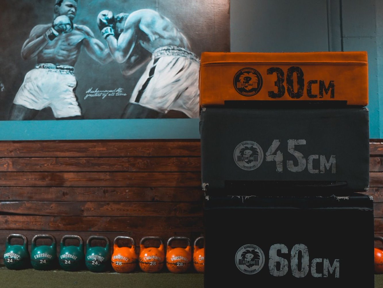 Vesterbronx Gym