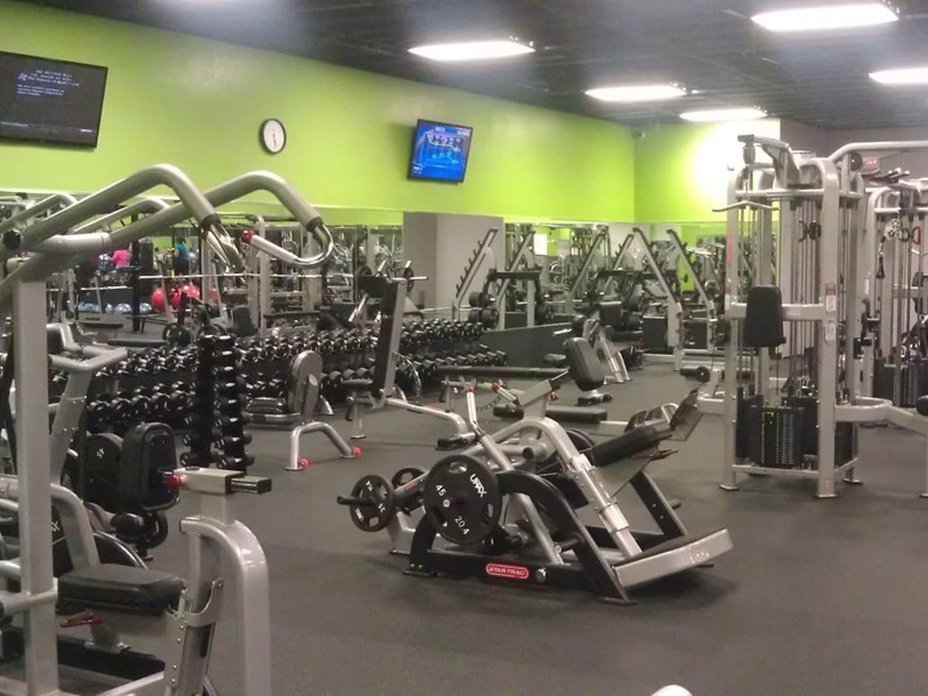 Zone Fitness Club Carrollwood