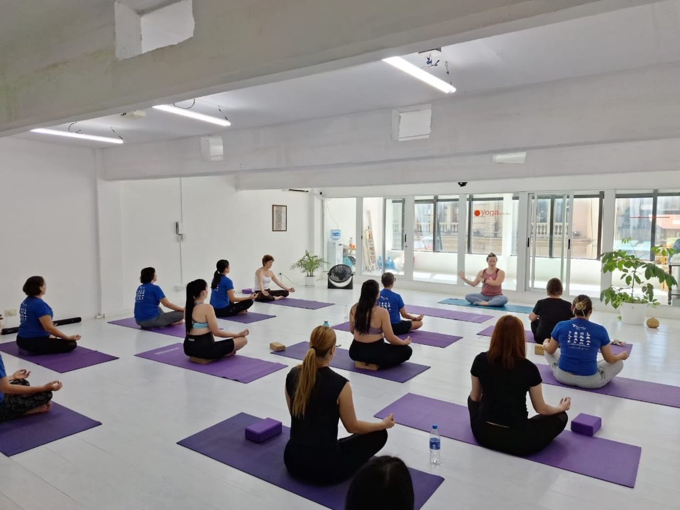 Yoga Estudio - фото 1